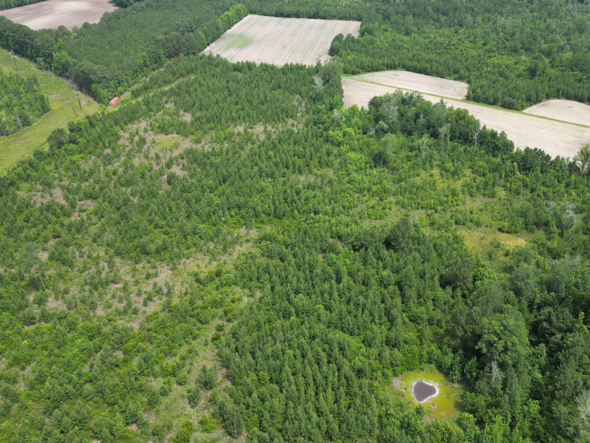 Tbd Church Rd. Photo 18