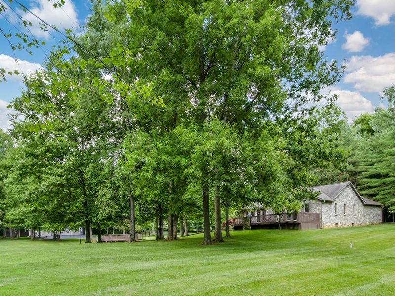 12110 State Route 521, Sunbury, OH 43074 Photo 41