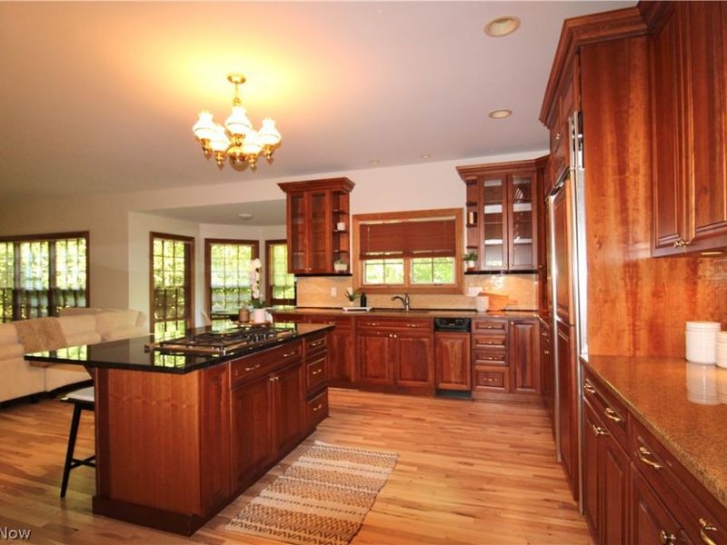 15150 Overture Drive, Newbury, OH 44065 Photo 13