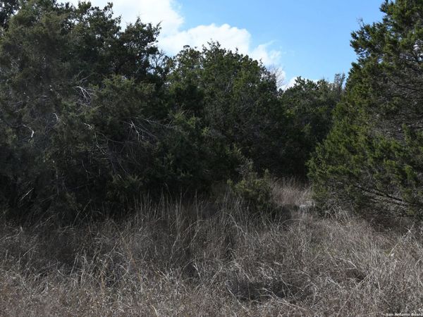 979 & 987 DEER VALLEY PASS, Spring Branch, TX 78070