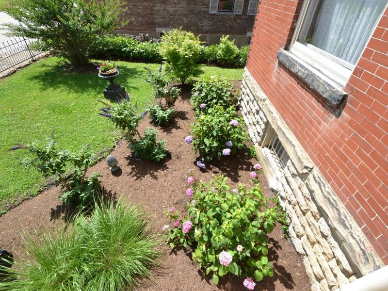 231 N Second Street, Ripley, OH 45167 Photo 92