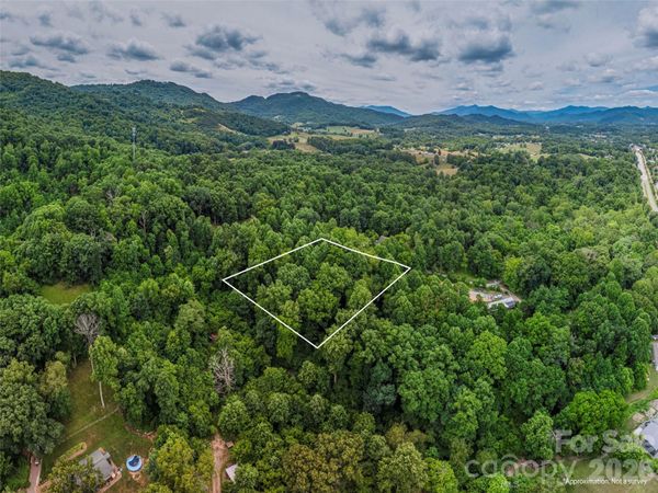 241 Clyde View Heights , Clyde, NC 28721