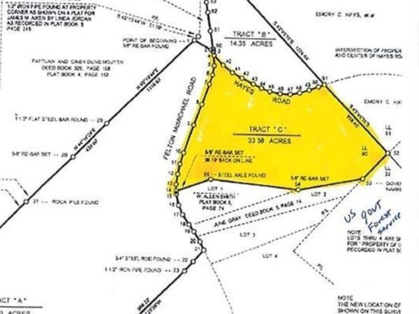 0 Felton Mcmichael Rd & Hayes - Landlot 090 Road, Monticello, GA 31064