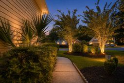 1140 Black Rush Circle photo 4