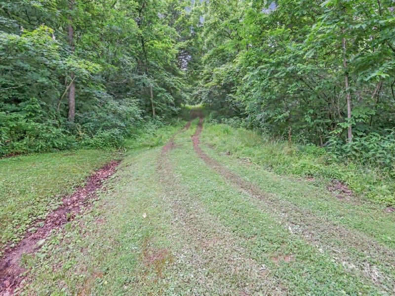 16749 Mush Run Road , Athens, OH 45701 Photo 14