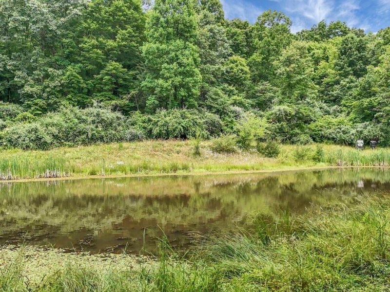 16749 Mush Run Road , Athens, OH 45701 Photo 19