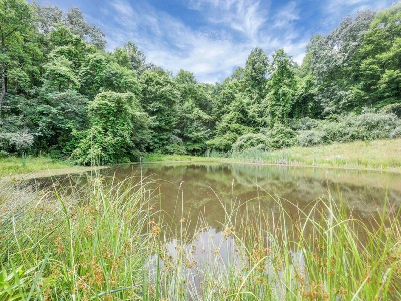 16749 Mush Run Road , Athens, OH 45701 Photo 2