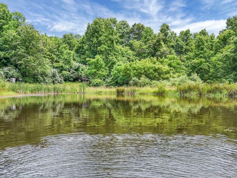 16749 Mush Run Road , Athens, OH 45701 Photo 20