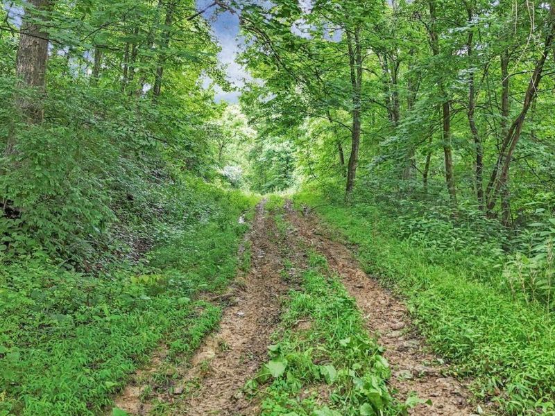 16749 Mush Run Road , Athens, OH 45701 Photo 23