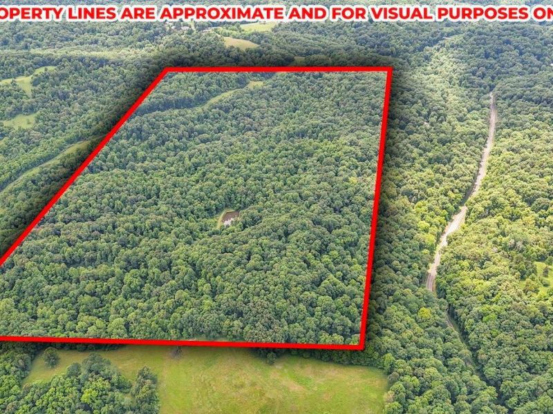 16749 Mush Run Road , Athens, OH 45701 Photo 24
