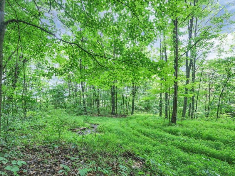 16749 Mush Run Road , Athens, OH 45701 Photo 3