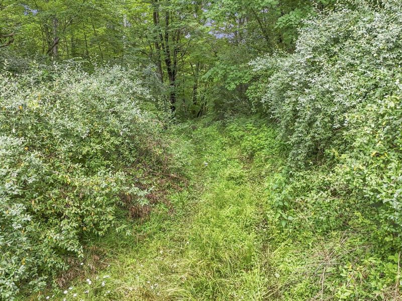 16749 Mush Run Road , Athens, OH 45701 Photo 35