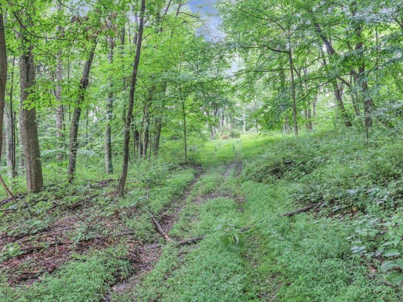 16749 Mush Run Road , Athens, OH 45701 Photo 4