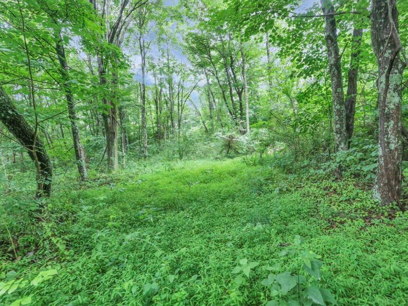 16749 Mush Run Road , Athens, OH 45701 Photo 6