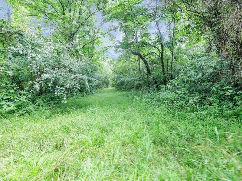 16749 Mush Run Road , Athens, OH 45701 Photo 7