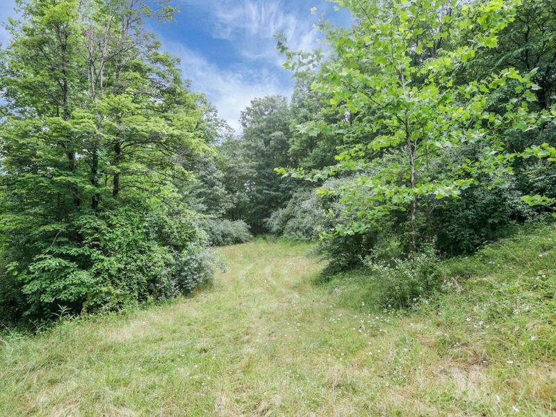 16749 Mush Run Road , Athens, OH 45701 Photo 8