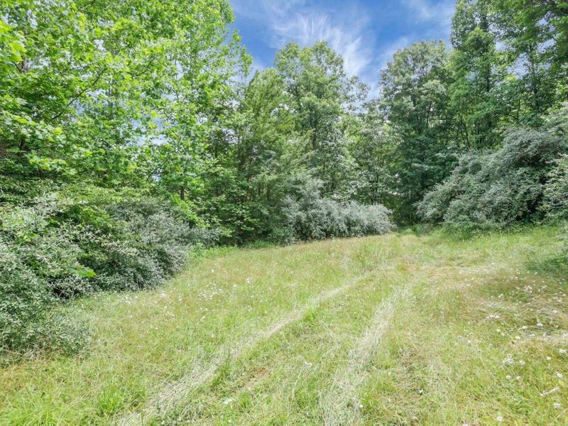 16749 Mush Run Road , Athens, OH 45701 Photo 9