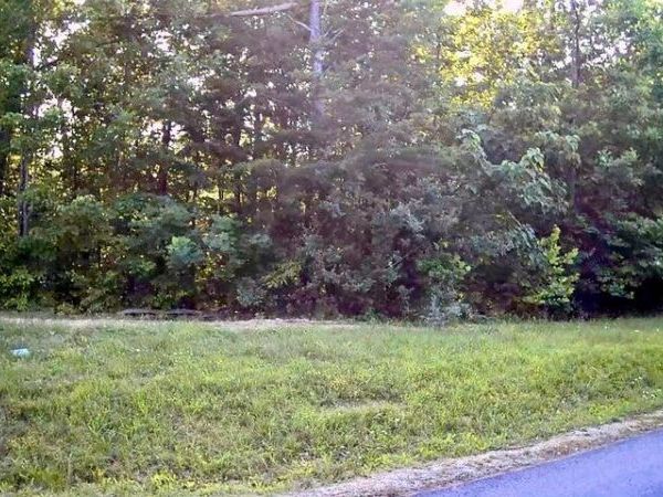 501 Cedar Gate Lane, LaFollette, TN 37766
