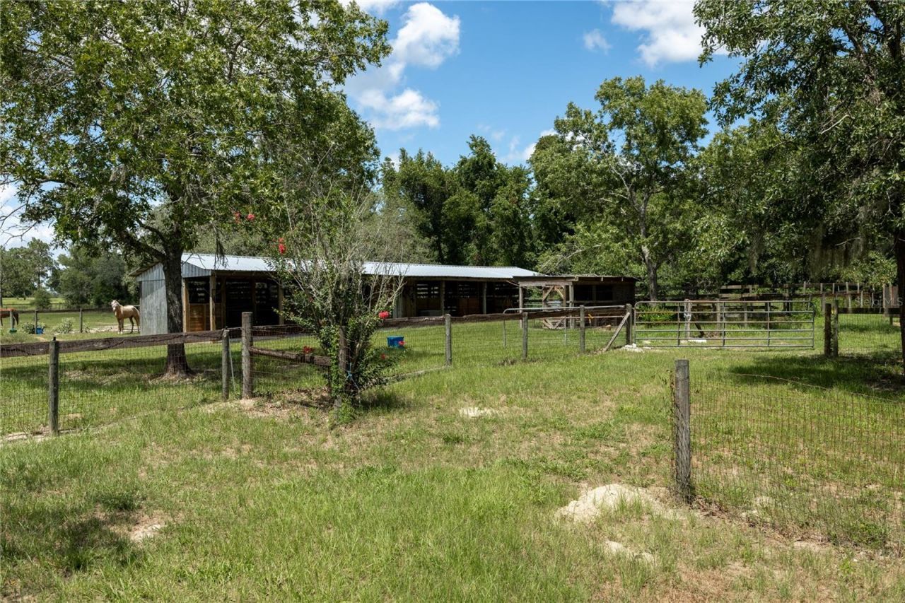 11751 SE 16th Lane , Morriston, FL 32668 Photo