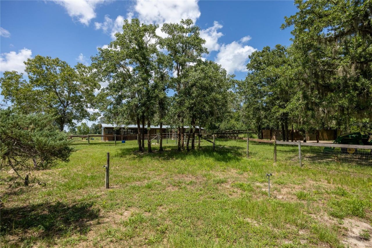 11751 SE 16th Lane , Morriston, FL 32668 Photo