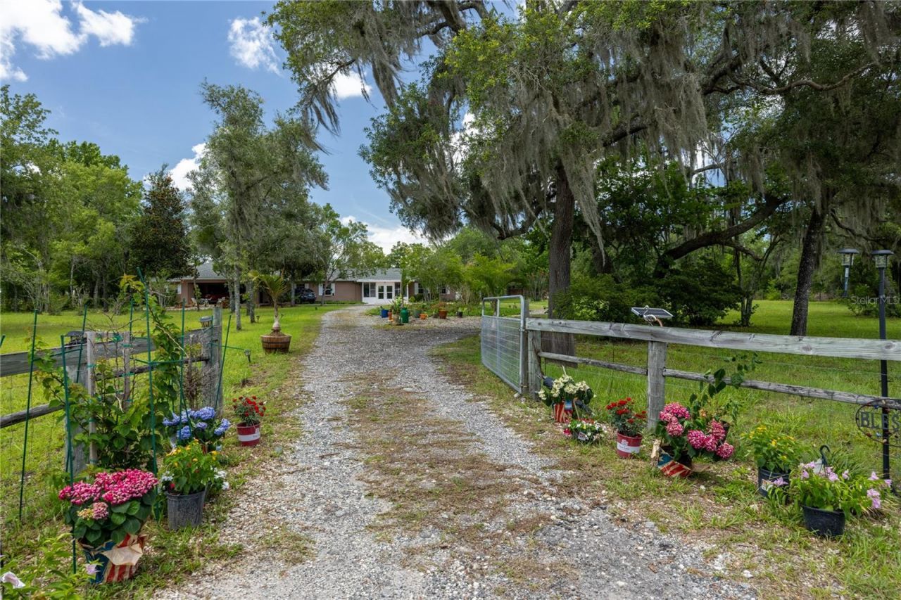 11751 SE 16th Lane , Morriston, FL 32668 Photo