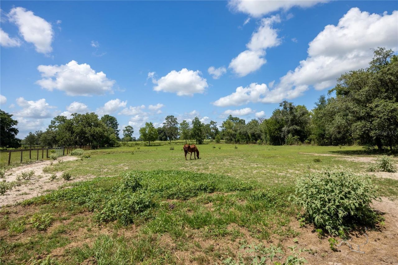 11751 SE 16th Lane , Morriston, FL 32668 Photo