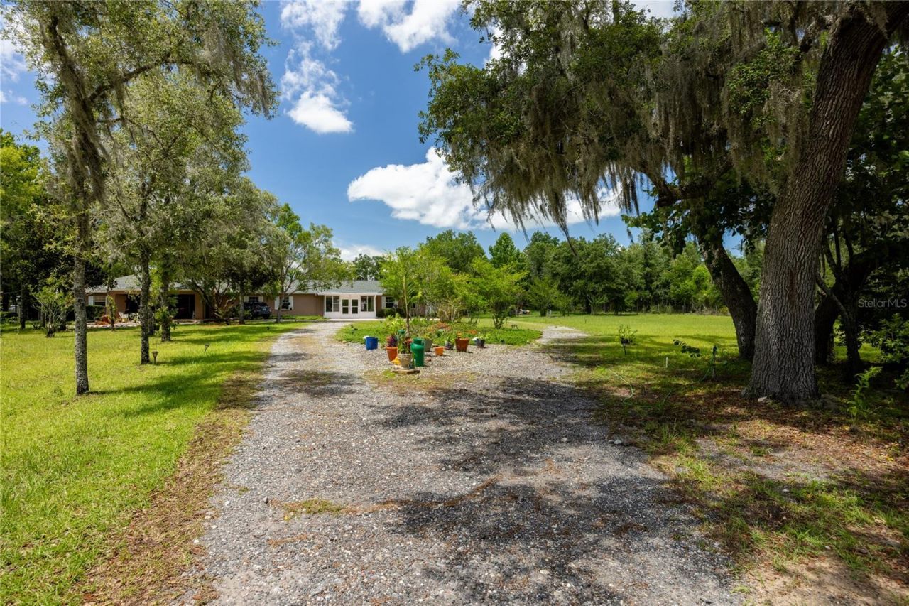 11751 SE 16th Lane , Morriston, FL 32668 Photo
