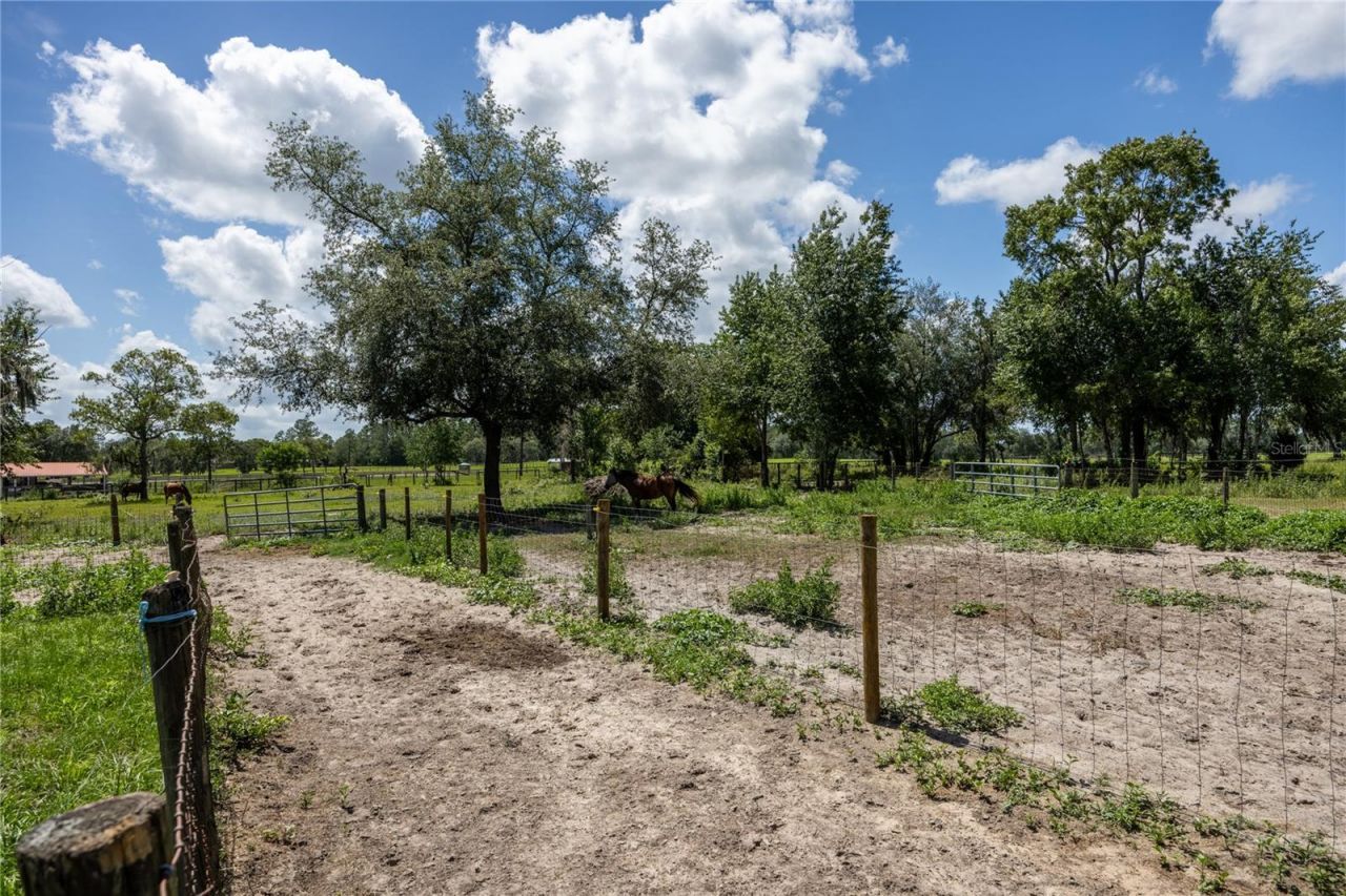 11751 SE 16th Lane , Morriston, FL 32668 Photo