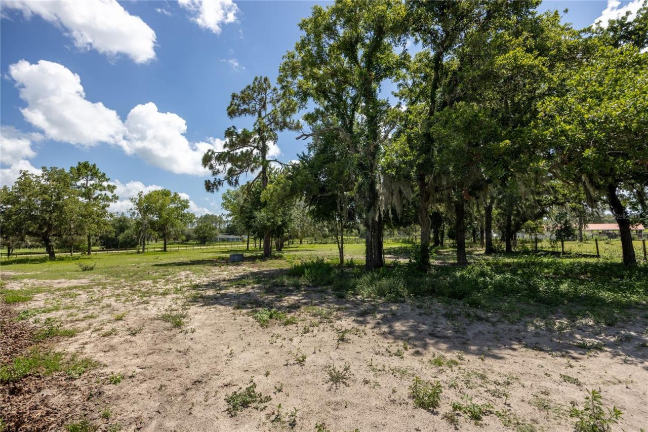11751 SE 16th Lane , Morriston, FL 32668 Photo