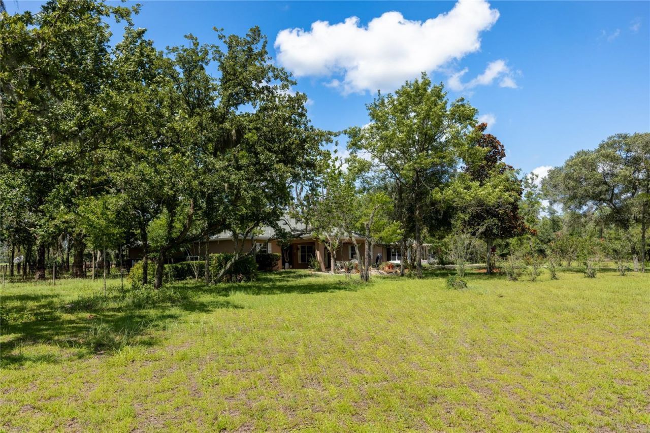 11751 SE 16th Lane , Morriston, FL 32668 Photo