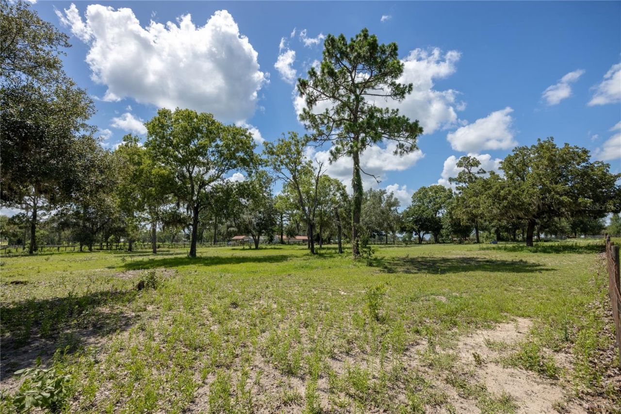 11751 SE 16th Lane , Morriston, FL 32668 Photo