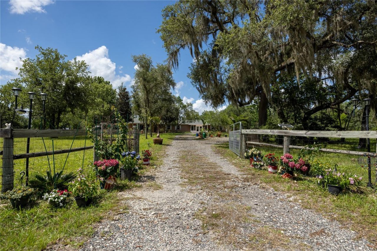 11751 SE 16th Lane , Morriston, FL 32668 Photo