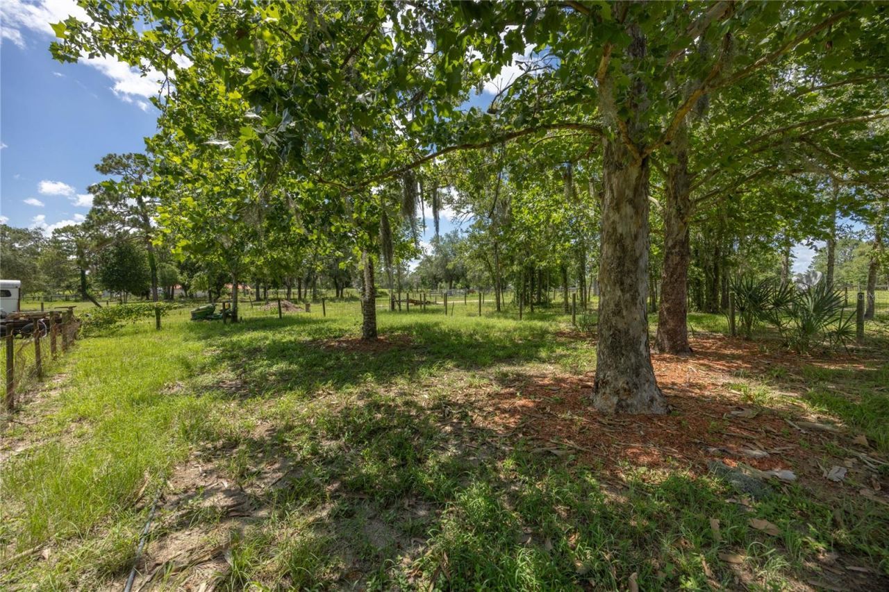 11751 SE 16th Lane , Morriston, FL 32668 Photo