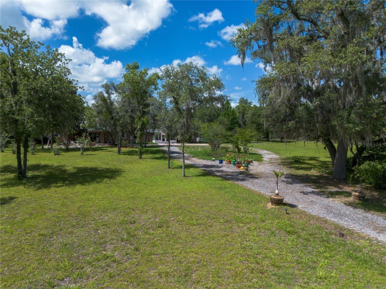 11751 SE 16th Lane , Morriston, FL 32668 Photo