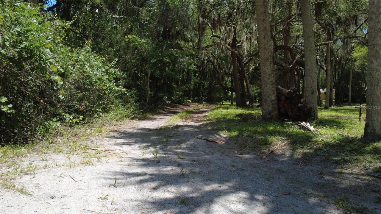11236 N Rain Point , Inglis, FL 34449 Photo