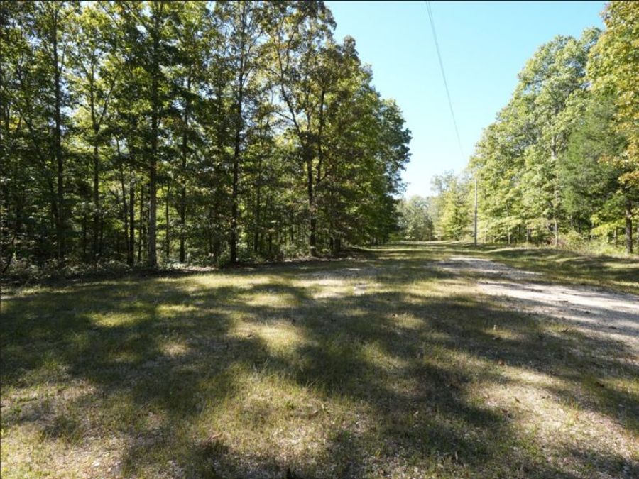 Property Image 4