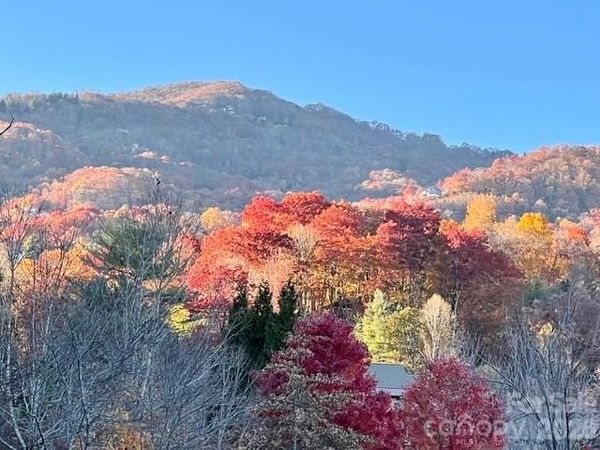 245 Greenview Drive, Maggie Valley, NC 28751