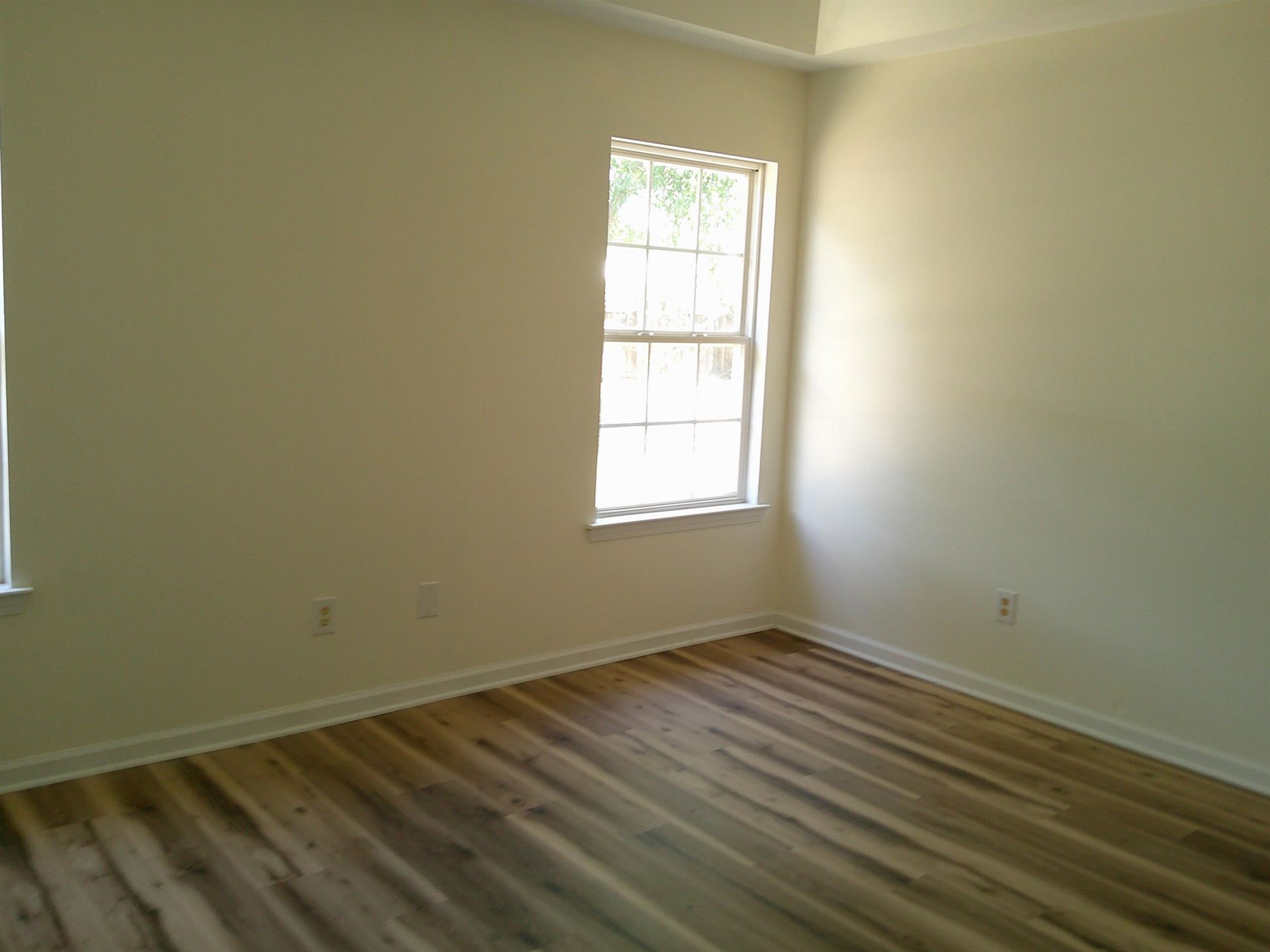 459 Hallie Martin Rd.  Photo 11