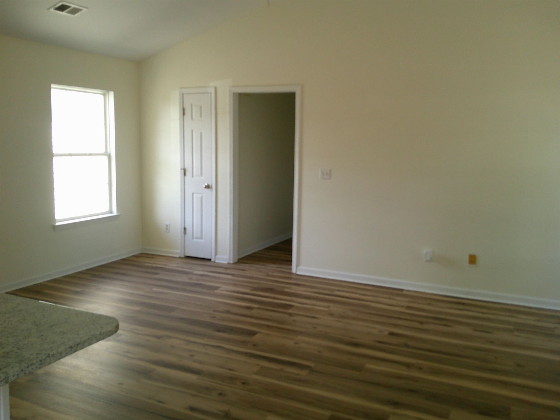 459 Hallie Martin Rd.  Photo 6