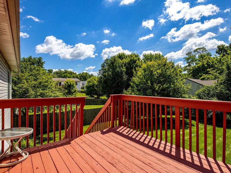 3655 Mitten Drive, Elsmere, KY 41018 Photo 36
