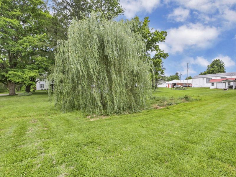 10256 4th Street, Brownsville, OH 43721 Photo 53