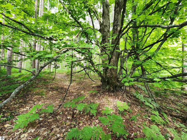 Christie Drive, Kalkaska, MI 49646