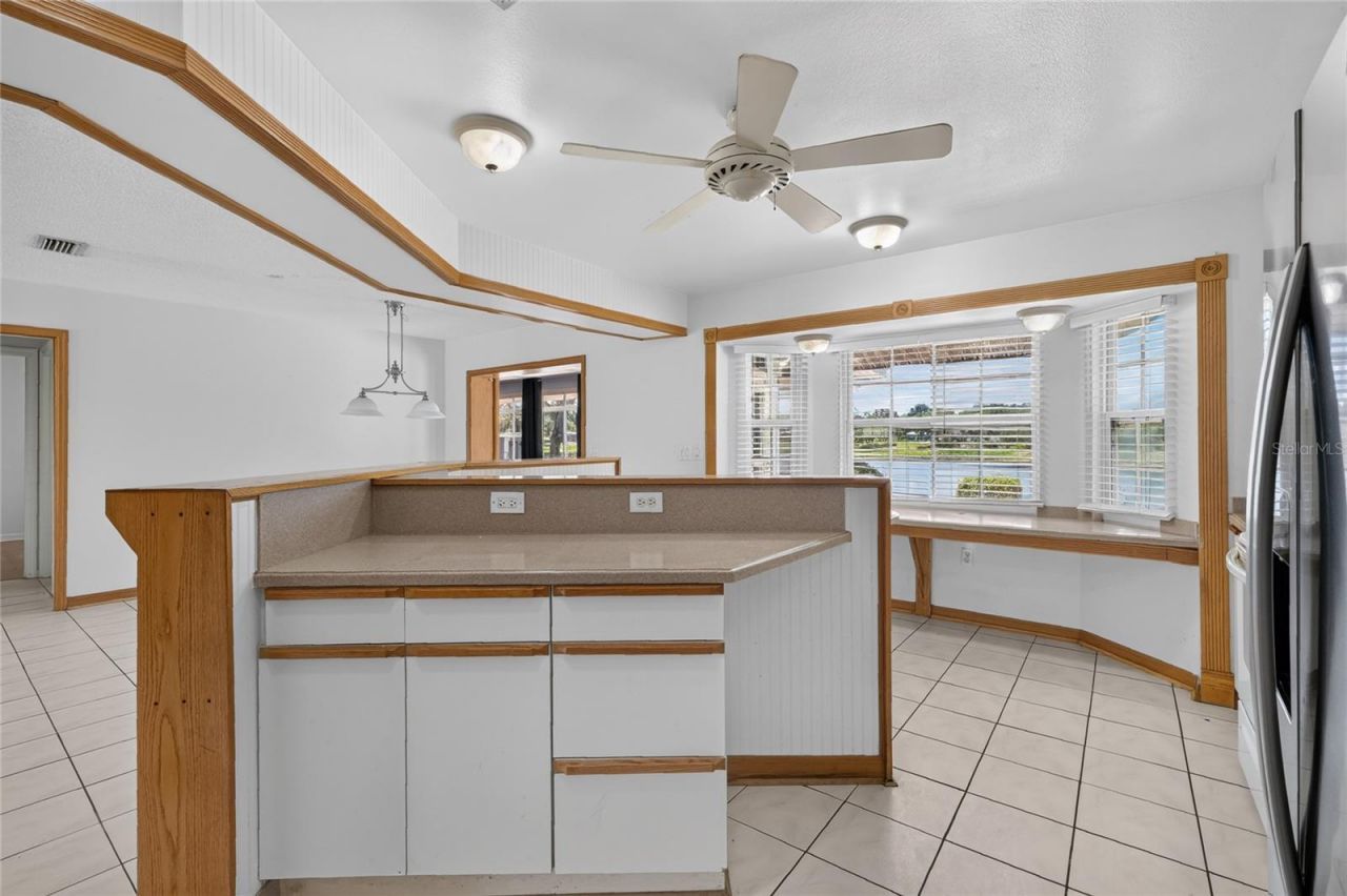 302 E Mirror Lake Drive, Fruitland Park, FL 34731 Photo