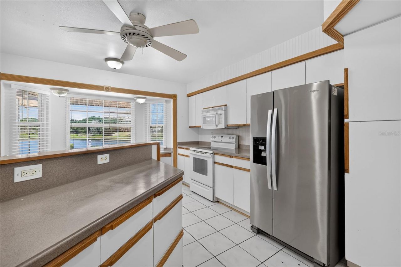302 E Mirror Lake Drive, Fruitland Park, FL 34731 Photo