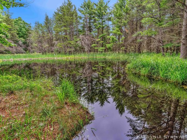 V/L E Kinney Rd, Branch, MI 49402