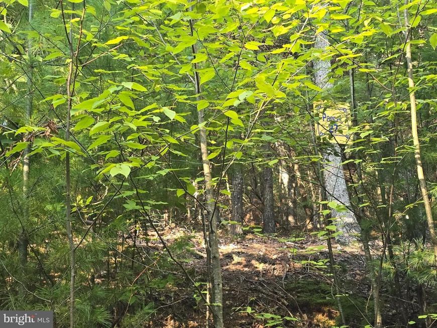 Lot 27 Native Trout Ln, Sugar Grove, WV 26815 Main Photo