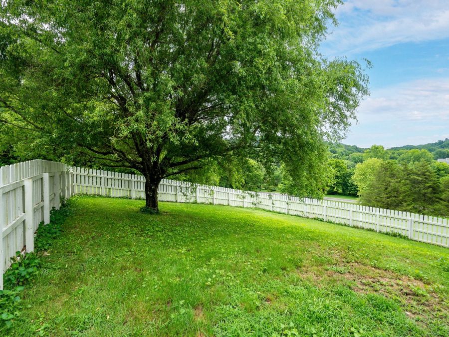 Property Image 55