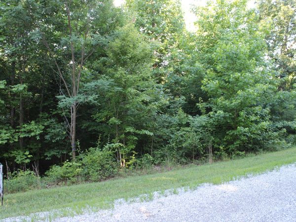 0 Bluff Line , Mc Minnville, TN 37110