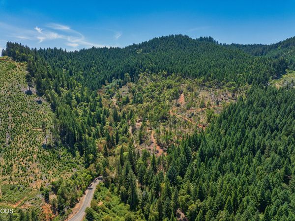 1132 Bridge Lane, Wolf Creek, OR 97497
