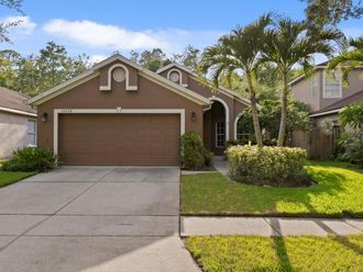 10238 WOODFORD BRIDGE STREET Tampa, FL 33626